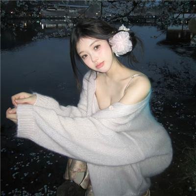 凤凰号